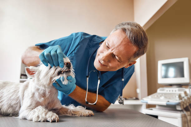 Best Emergency Tooth Extraction in Goodrich, MI